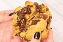 Chocolate Chip Cookie